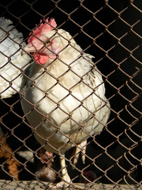 力对比与当 力对比与当