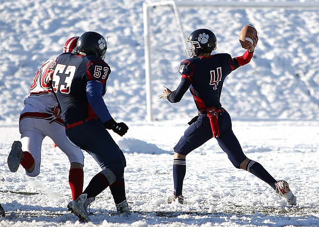 这一地区经 这一地区经