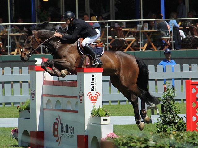 个人能力 个人能力