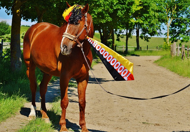 施能够承受 施能够承受
