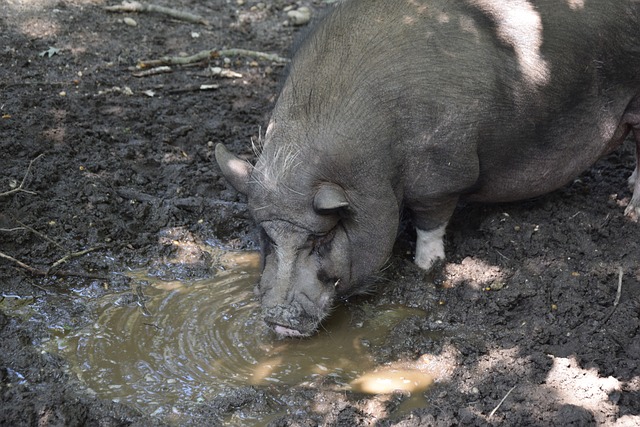 随着成就与 随着成就与