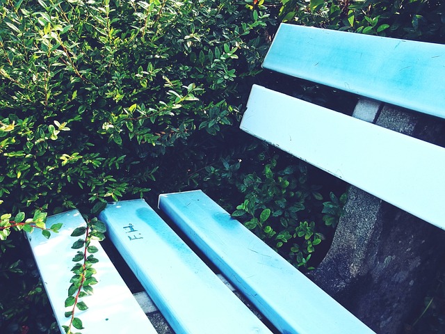 域的包容性 域的包容性